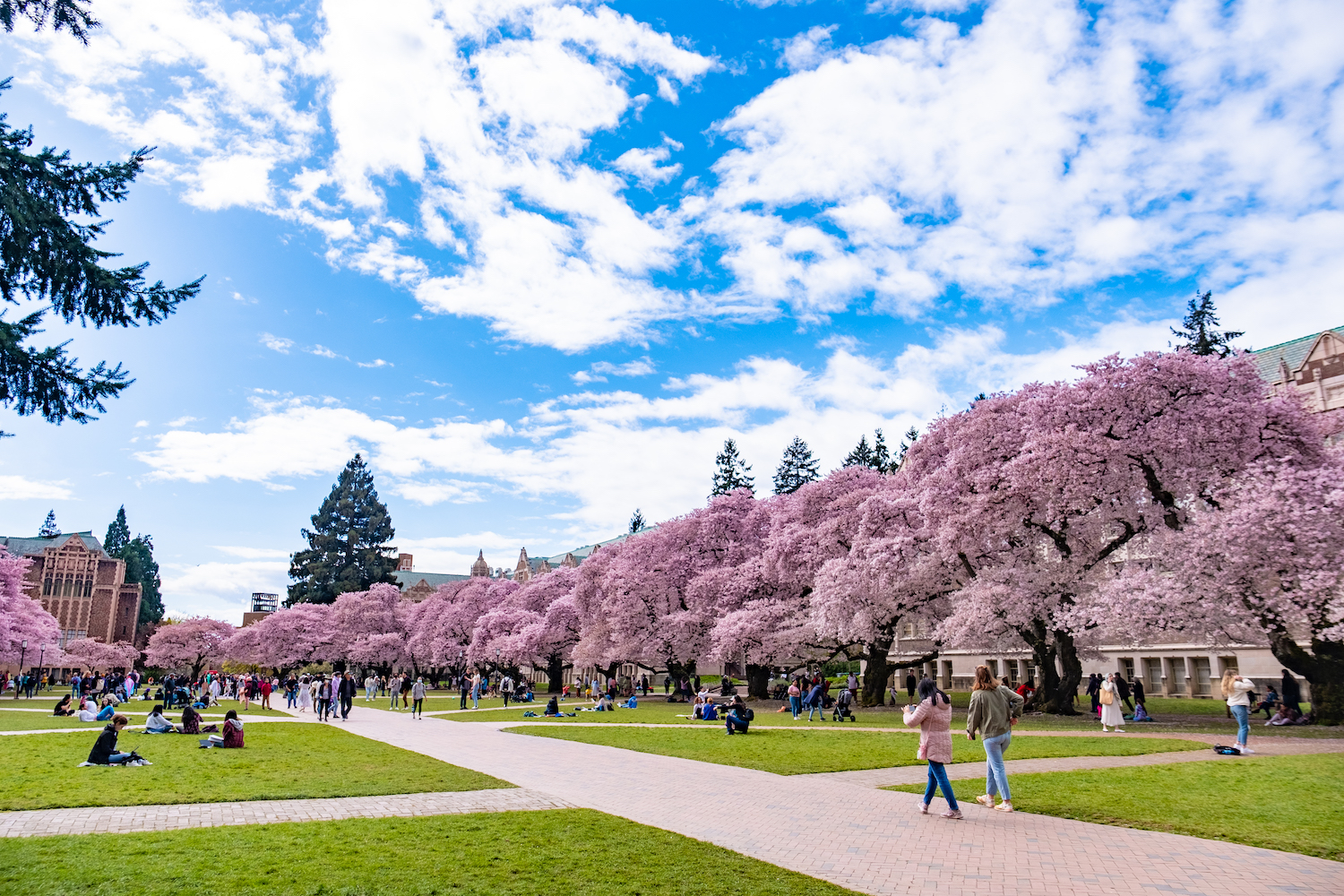 uw-seattle-uw-genetic-counseling-graduate-program